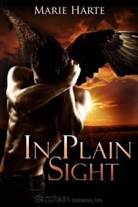 In Plain Sight